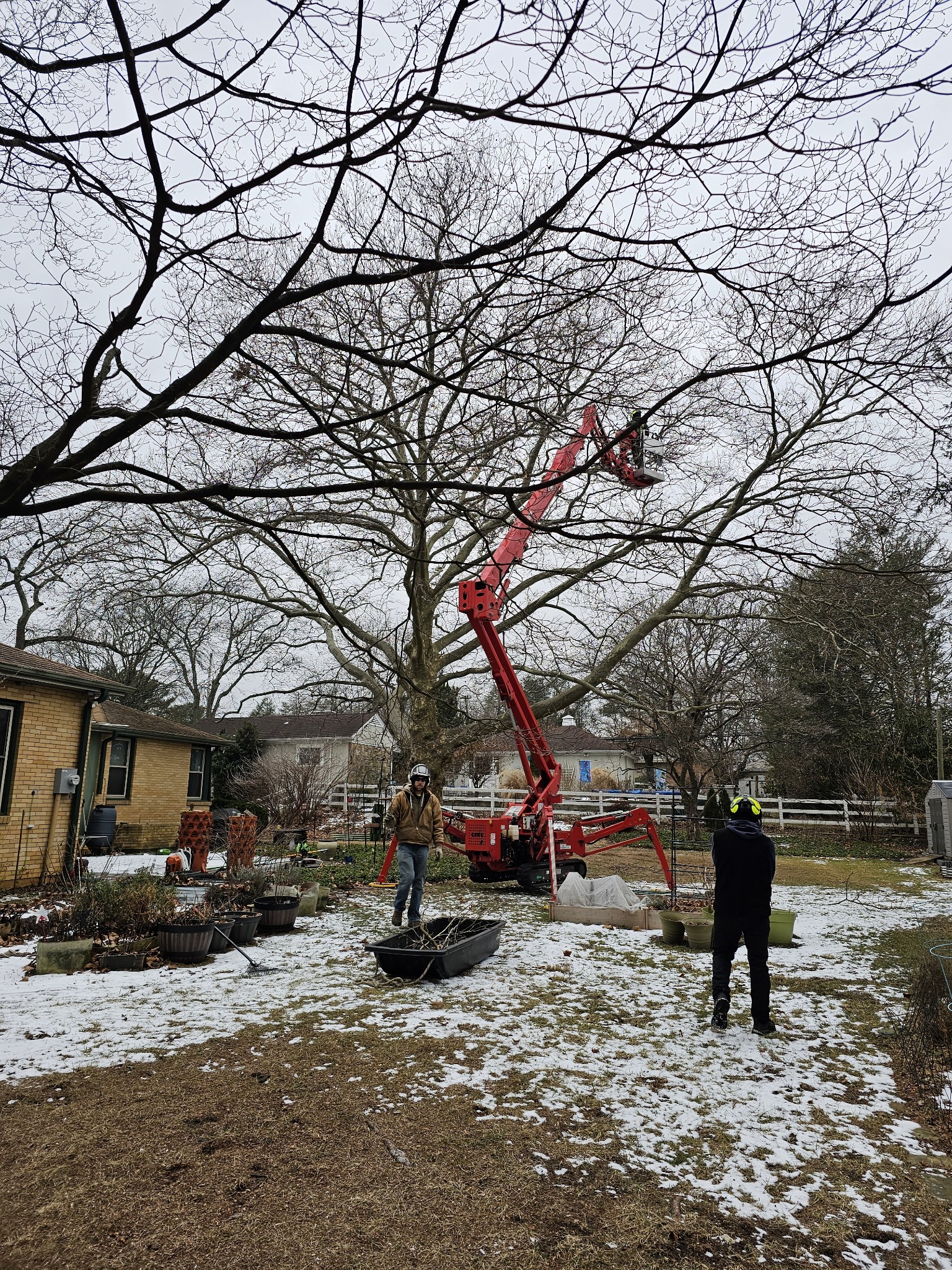 Crane-assisted tree removal in Allentown PA by Harmony Tree Services.