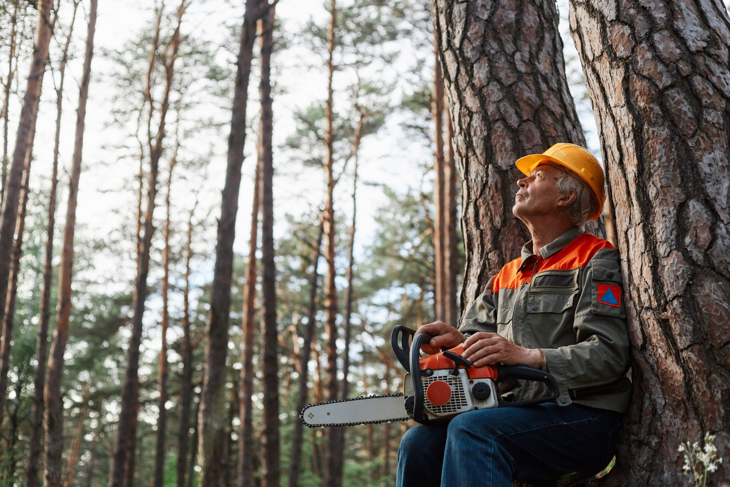 Outdoor shot of logger having rest in open air